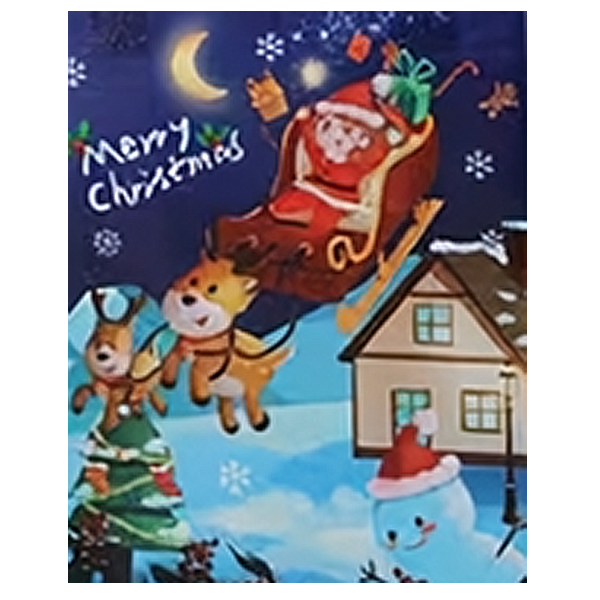 A festive Christmas gift bag featuring Santa Claus in a sleigh pulled by two reindeer, with snowflakes, a crescent moon, a decorated tree, a house, and a snowman under a dark blue night sky. The words 'Merry Christmas' appear in white script near the upper left.