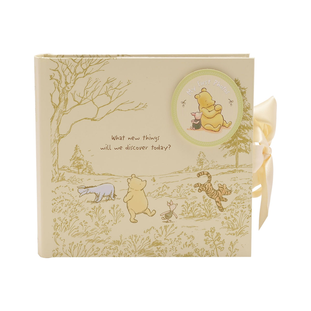 Winnie the Pooh photo album cover with circular badge, woodland scene, and ribbon.