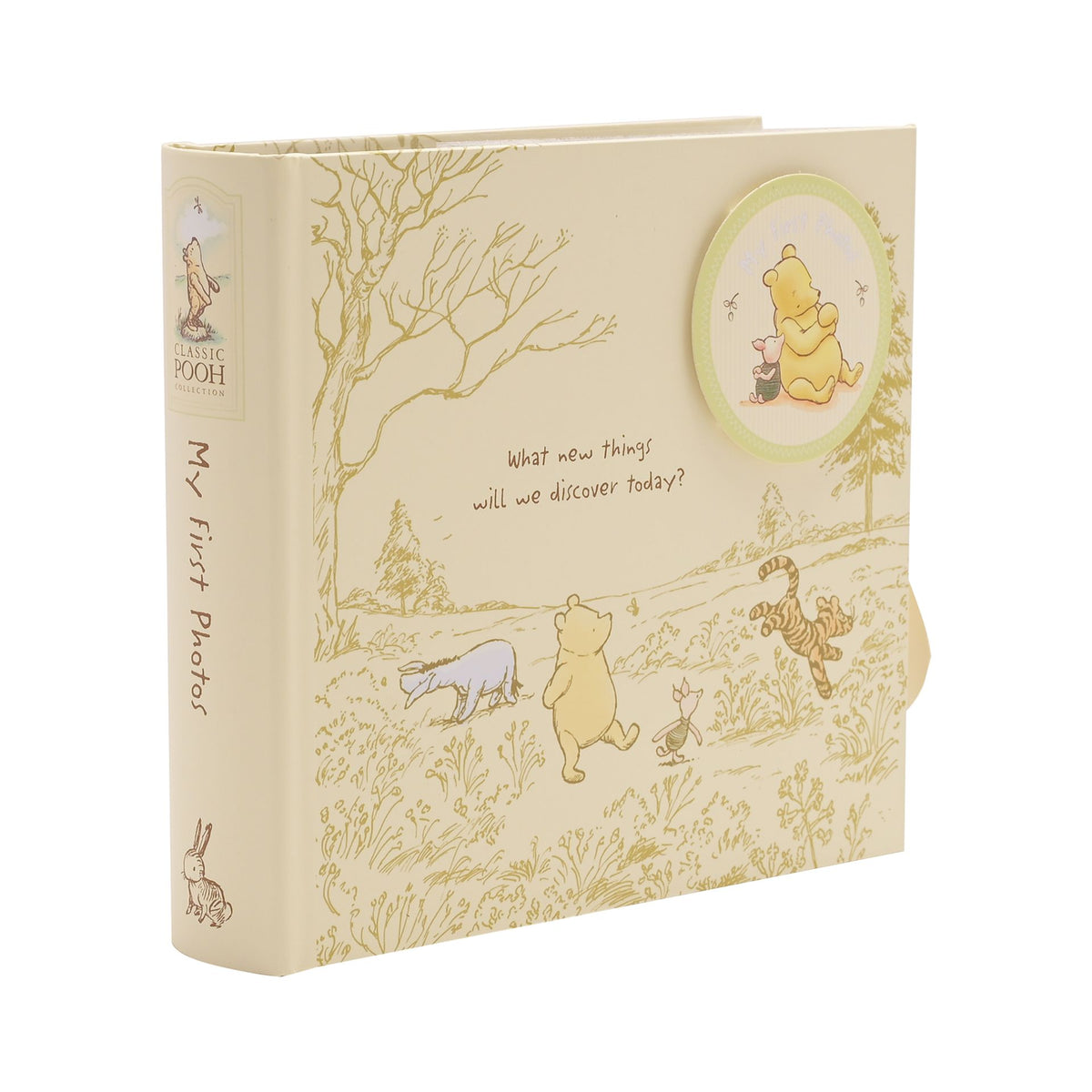 Winnie the Pooh photo album box with spine text and woodland cover illustration.