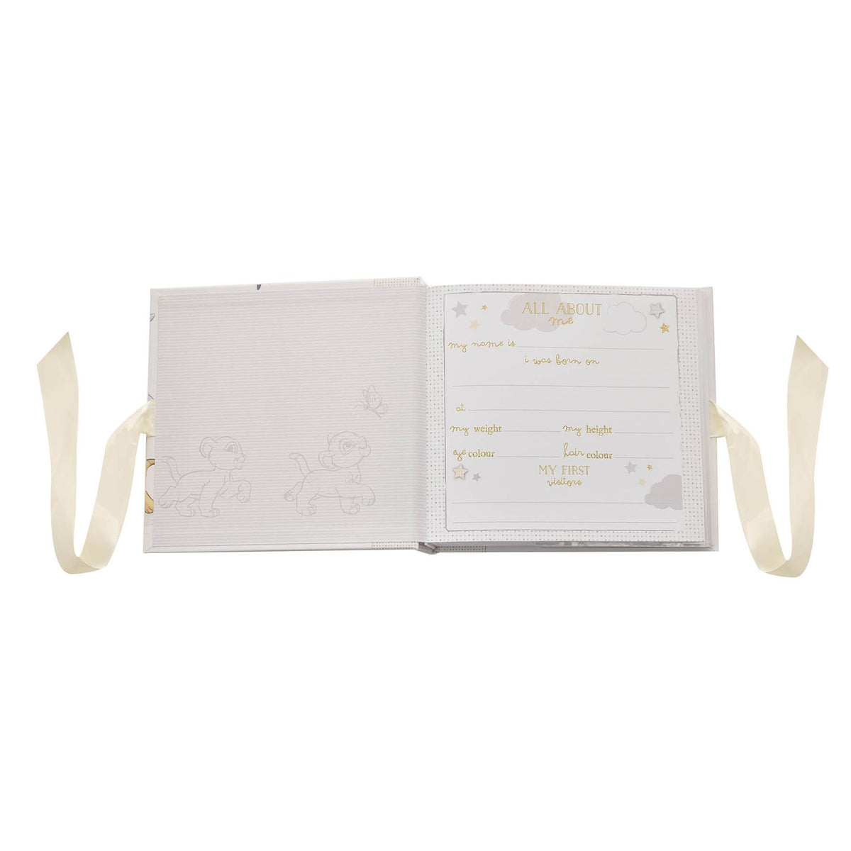 Opened photo album showing blank pages and small details inside, with ribbon ties