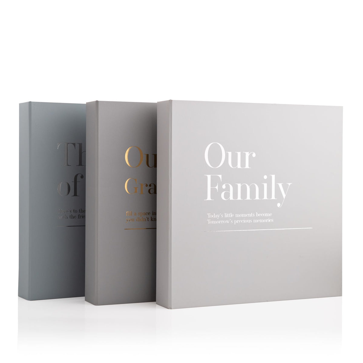 Gray scrapbook album set showing gold 'Our Family' and 'Our Grandchildren' covers