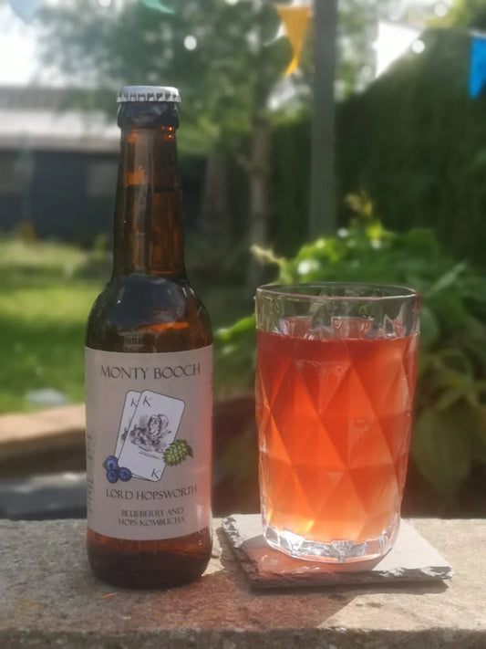Lord Hopsworth Hopped Blueberry Kombucha - 12 Pack (330ml Bottles)