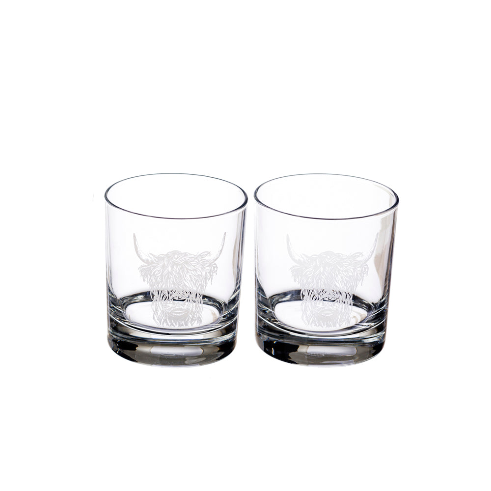 Two clear glass tumblers with embossed designs on a white background