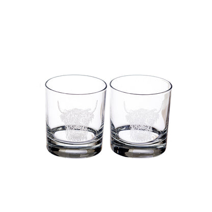 Two clear glass tumblers with embossed designs on a white background