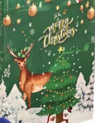 Christmas Gift Bag with Handle - Assorted Designs