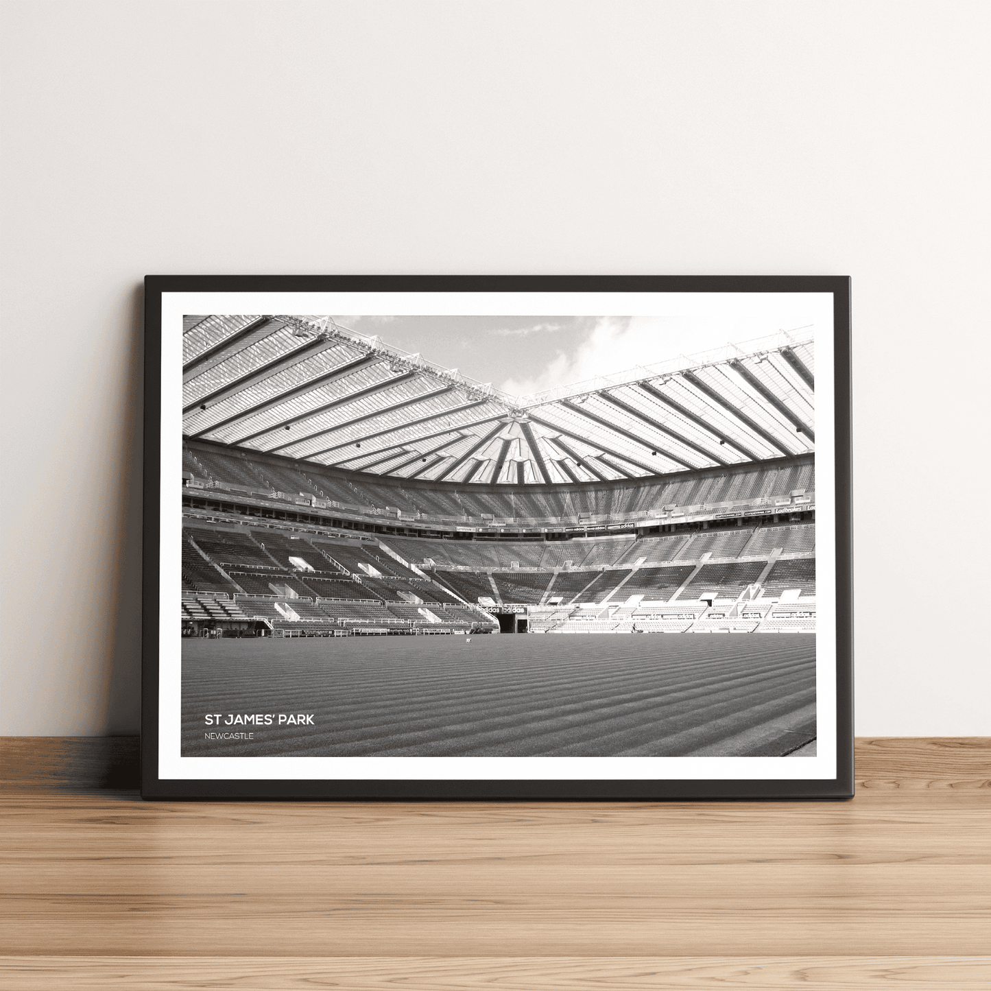 St James' Park Newcastle United Stadium Photography Print