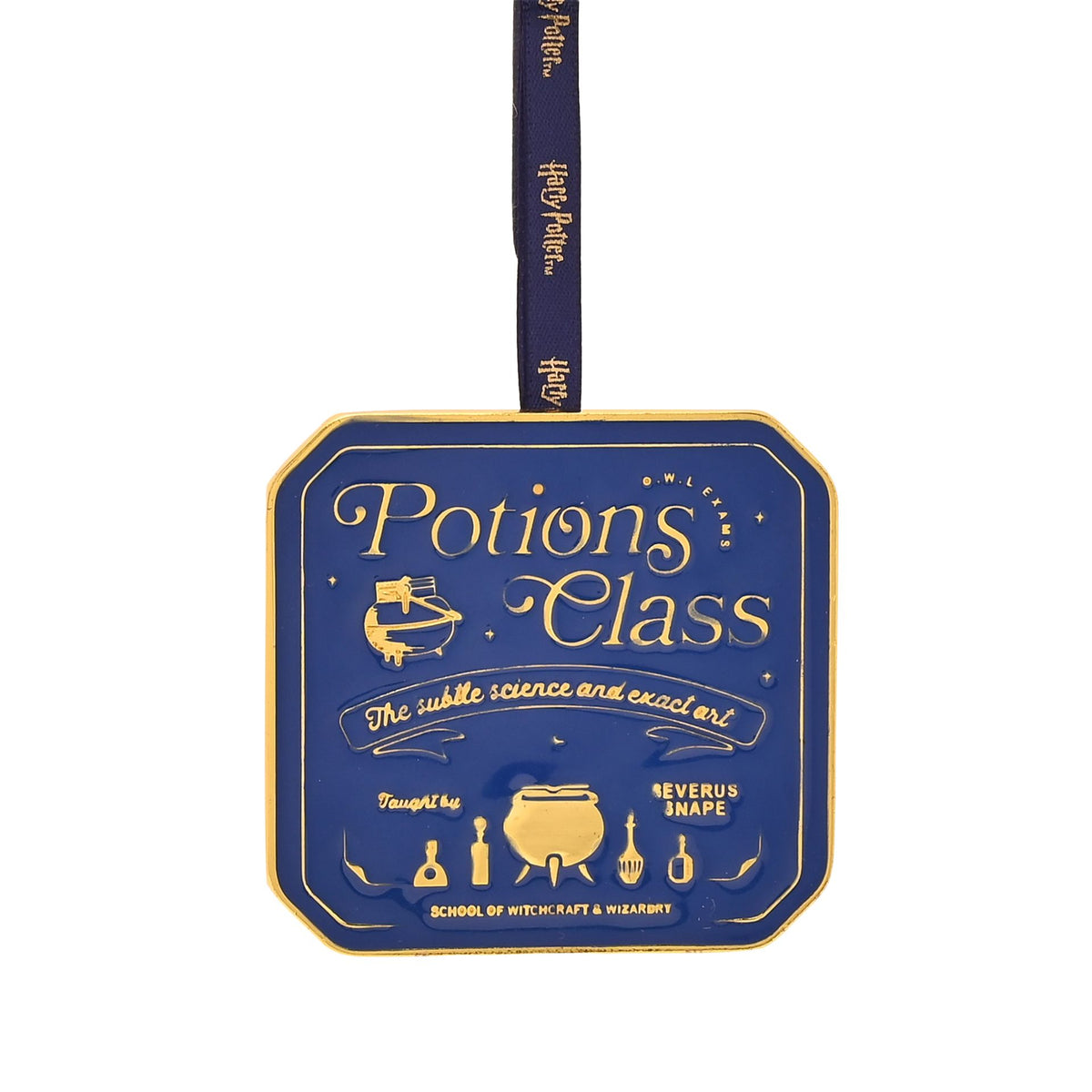 Blue Potions Class metal epoxy hanging plaque with dark ribbon, gold border, and icons