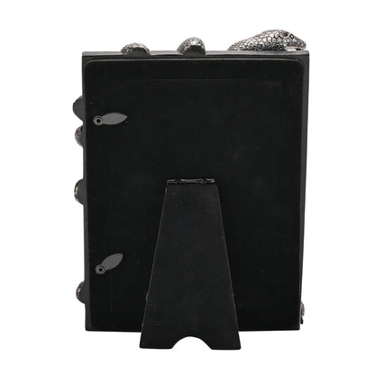 Warner Bros Harry Potter Dark Arts Frame - Nagini