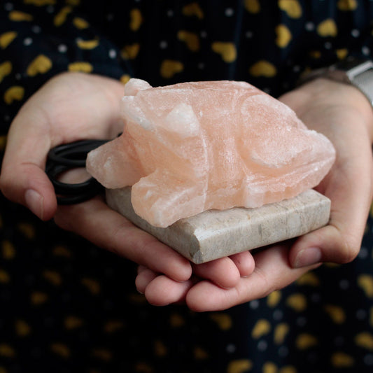 Multicolour USB Himalayan Salt Lamp Toad Shaped
