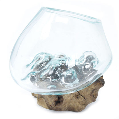 Molten Glass on Wooden Tree Root - Small Bowl