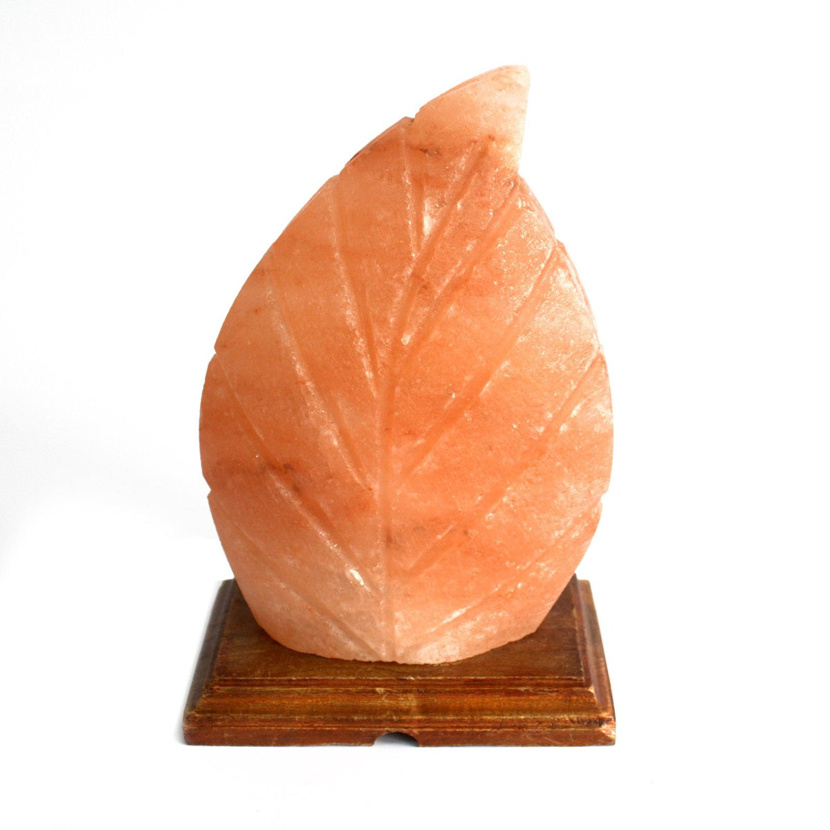 Fern Shape  Himalayan  Salt Lamp