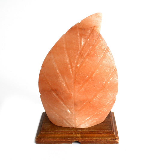 Fern Shape  Himalayan  Salt Lamp