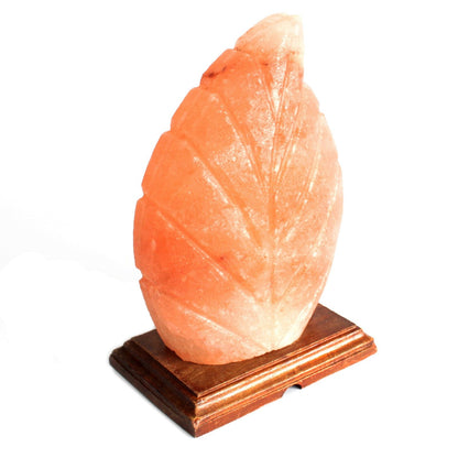 Fern Shape  Himalayan  Salt Lamp