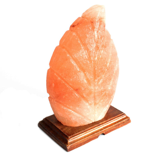 Fern Shape  Himalayan  Salt Lamp