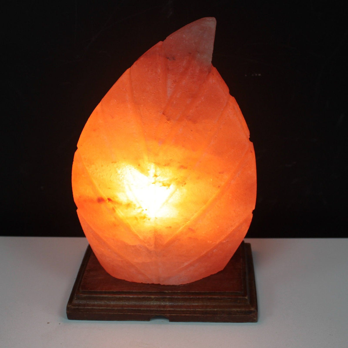 Fern Shape  Himalayan  Salt Lamp