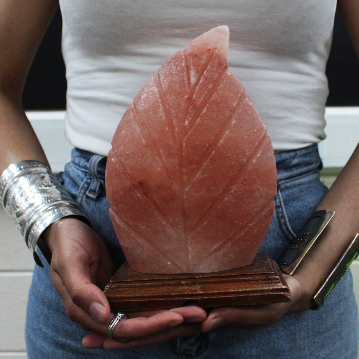 Fern Shape  Himalayan  Salt Lamp