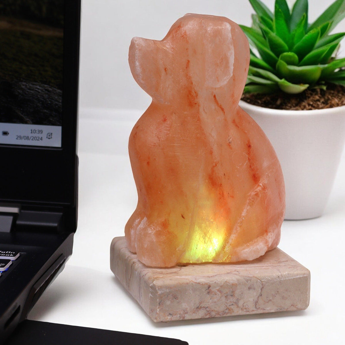 USB Dog Shaped Multicolour Himalayan Salt Lamp