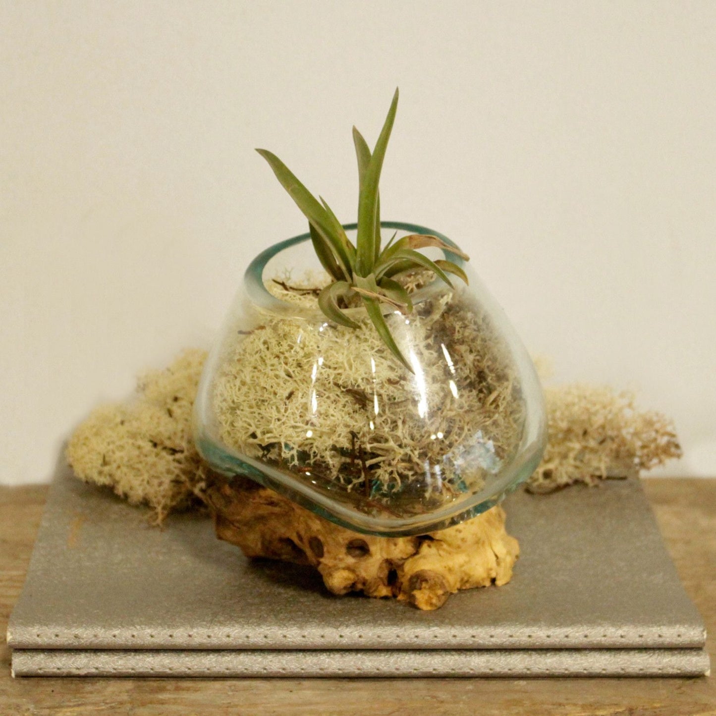 Molten Glass on Wooden Tree Root - Small Bowl