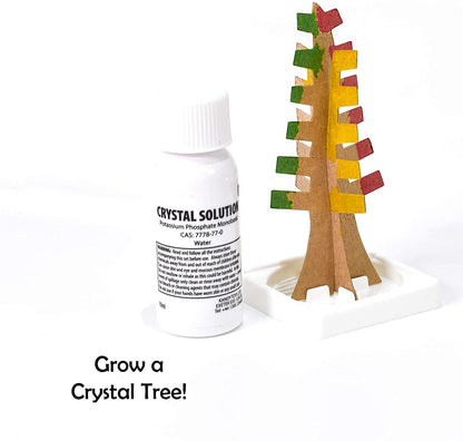 Children's 6-in-1 Home Science Experiment Starter Kit