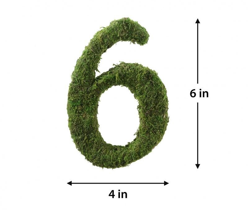 Lillian Rose Moss Decor Numbers - 4