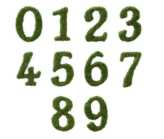 Lillian Rose Moss Decor Numbers - 5