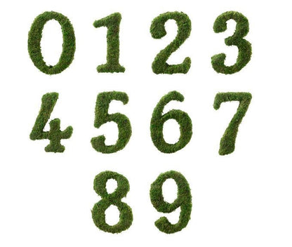 Lillian Rose Moss Decor Numbers - 5