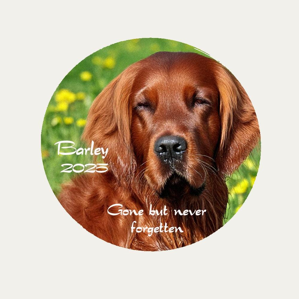 Personalised Circular Fridge Magnet Size 63mm
