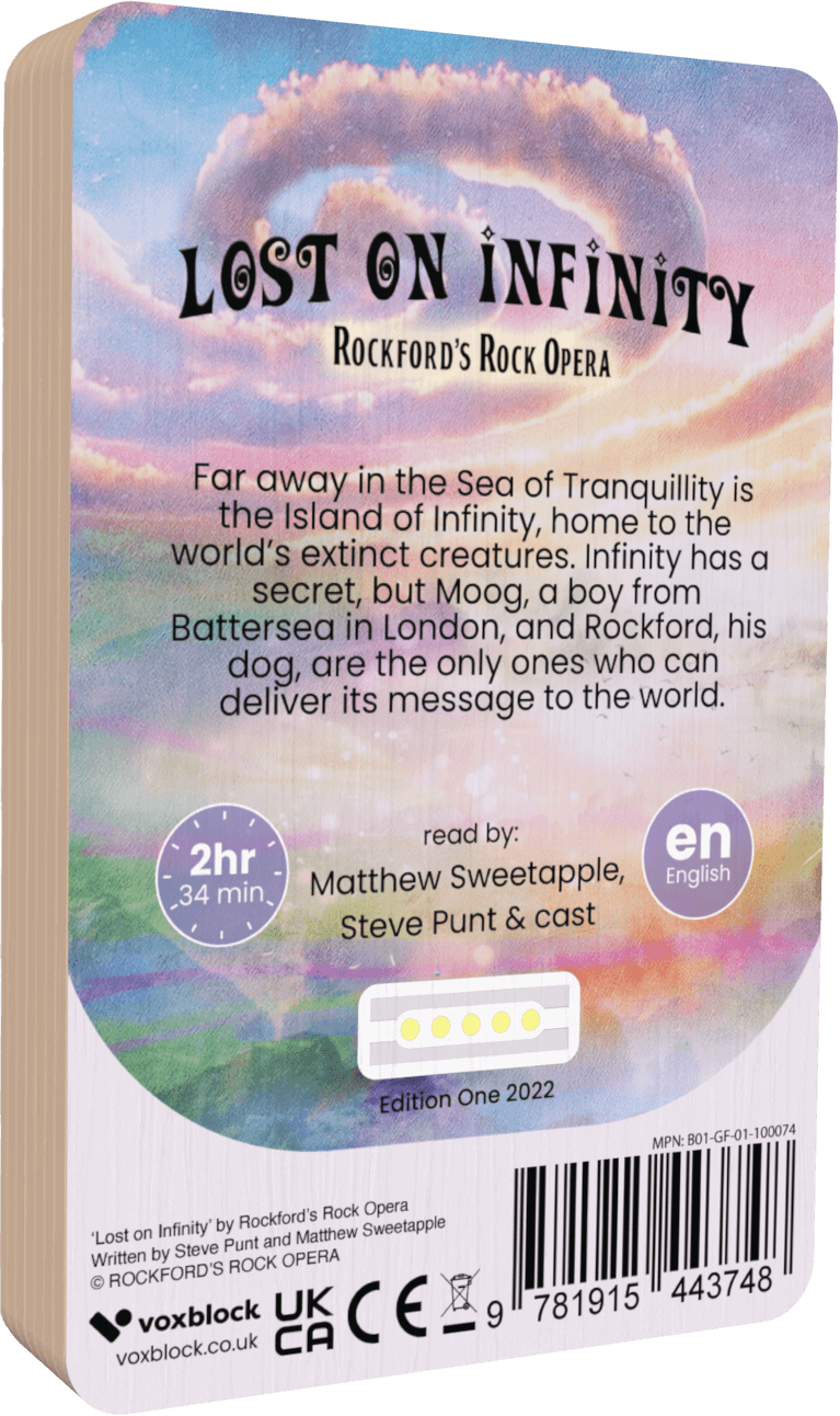 Lost on Infinity (Audiobook)