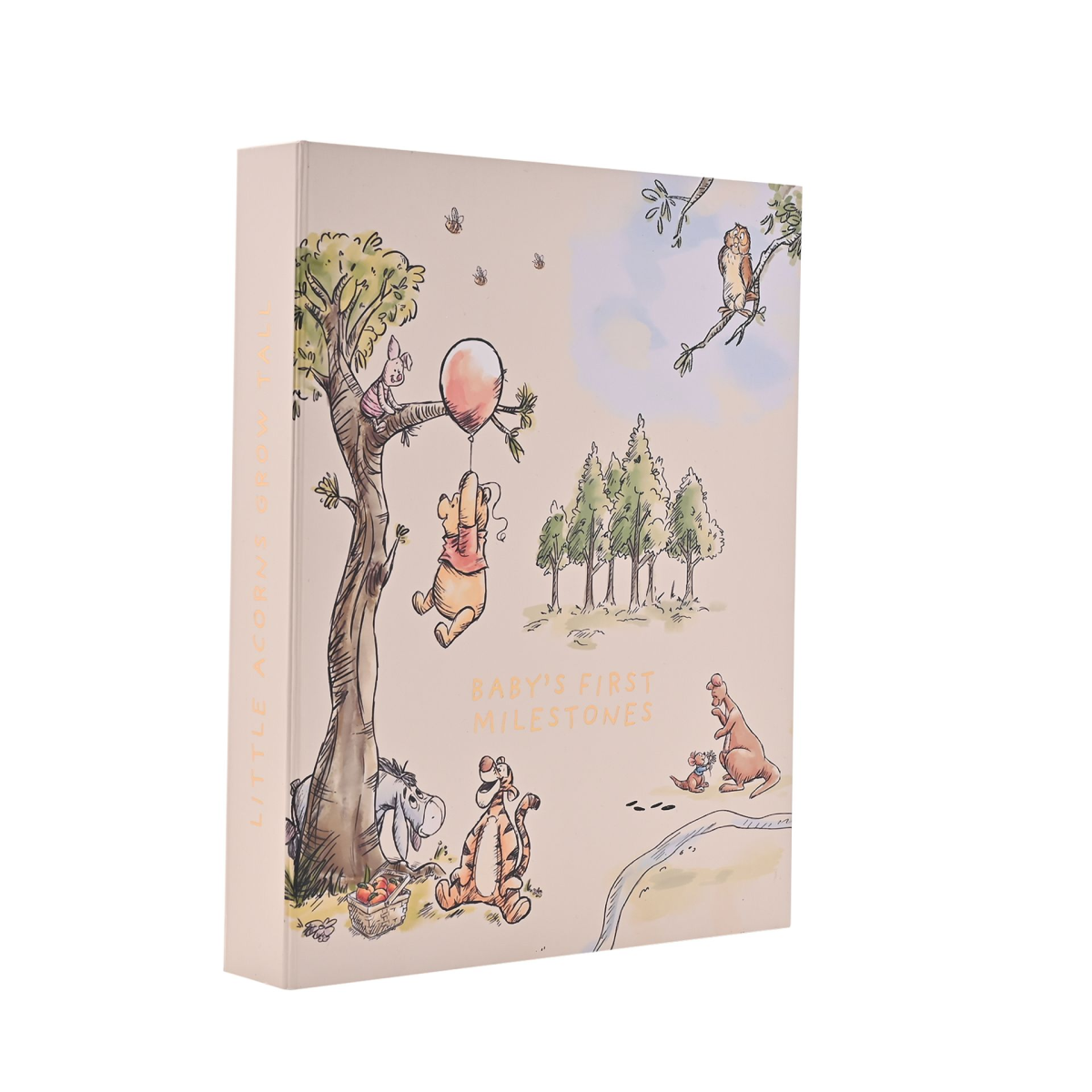 Winnie the Pooh milestone photo album with illustrated cover and “baby’s first milestone” text