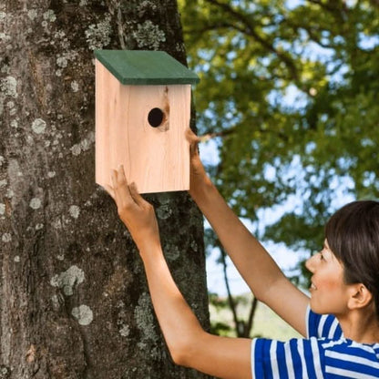 Wooden Bird Nesting Boxes x8