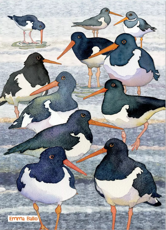 Emma Ball " Oystercatchers", Pure Cotton Tea Towel. Printed in the UK.