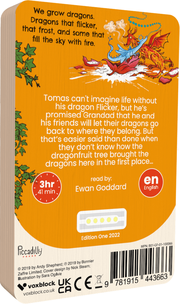 The Boy Who Flew With Dragons (Audiobook)