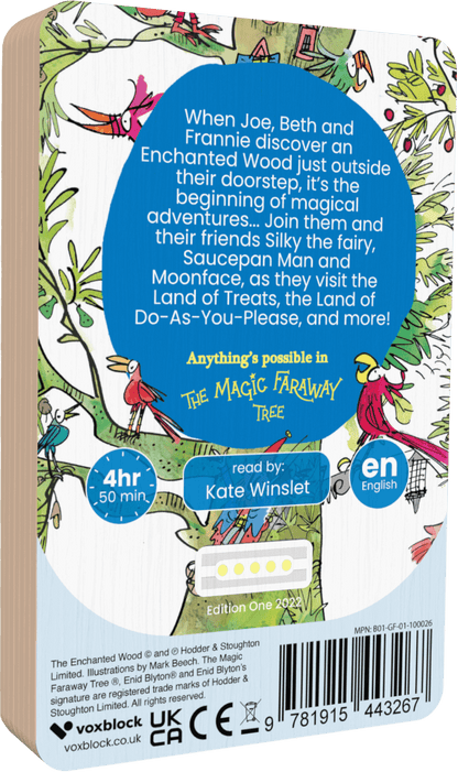 The Enchanted Wood (Audiobook)