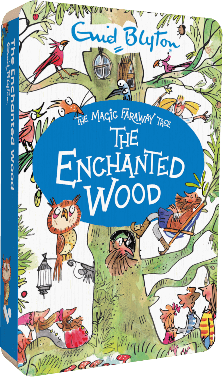 The Enchanted Wood (Audiobook)